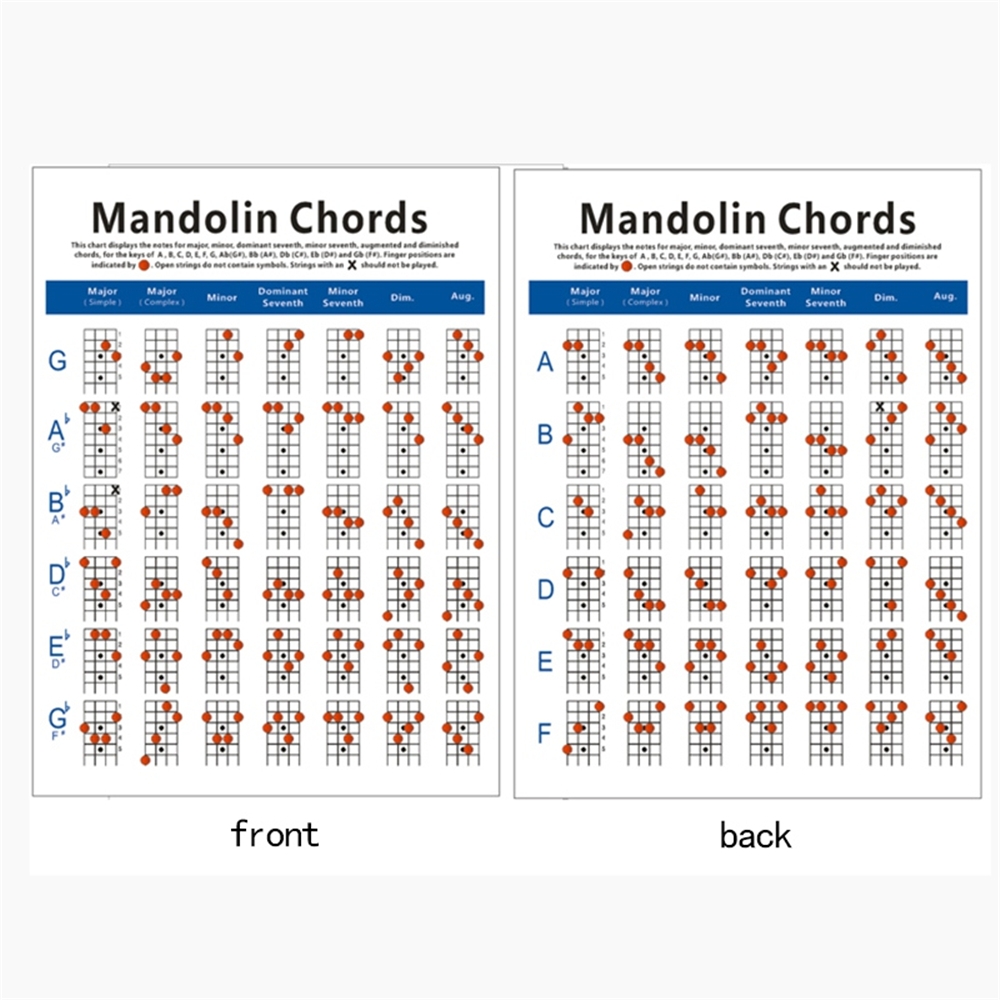 Mandolin Fretboard and Chord Chart Instructional Poster Fingering Chart